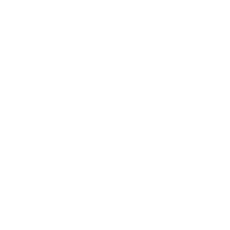St Paul's School